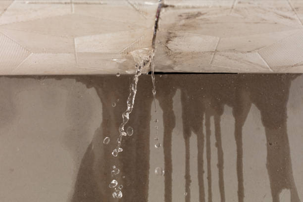 Professional Commercial Water Damage Restoration technician working in Primm Springs, TN